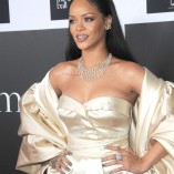 Rihanna 2nd Annual Diamond Ball 115