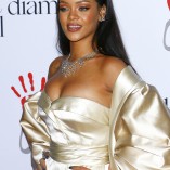 Rihanna 2nd Annual Diamond Ball 145
