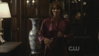 The Vampire Diaries The Sacrifice 16