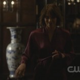 The Vampire Diaries The Sacrifice 17