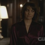 The Vampire Diaries The Sacrifice 21