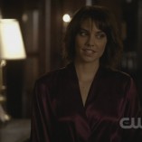 The Vampire Diaries The Sacrifice 22