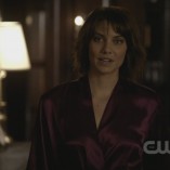 The Vampire Diaries The Sacrifice 23