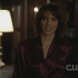 The Vampire Diaries The Sacrifice 24