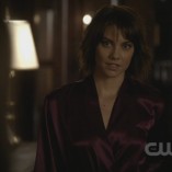 The Vampire Diaries The Sacrifice 27