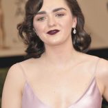 Maisie Williams 23rd Screen Actors Guild Awards 60