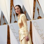 Dakota Johnson 89th Academy Awards 23