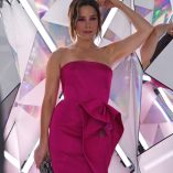 Sophia Bush 23rd Screen Actors Guild Awards 7