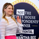 Ali Larter Not The White House Correspondents Dinner 3