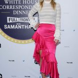 Ali Larter Not The White House Correspondents Dinner 4