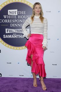 Ali Larter Not The White House Correspondents Dinner 4