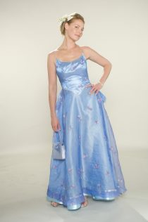 27 Dresses Promos 8