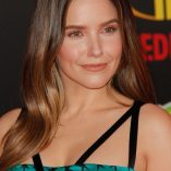 Sophia Bush Incredibles 2 Premiere 234