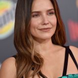 Sophia Bush Incredibles 2 Premiere 262