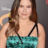 Sophia Bush Incredibles 2 Premiere 278