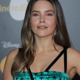 Sophia Bush Incredibles 2 Premiere 62