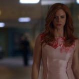 Suits Denial 28