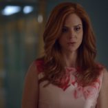 Suits Denial 31