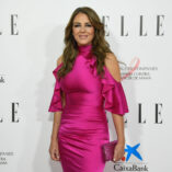 Elizabeth Hurley Elle Magazine Charity Dinner 18