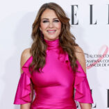 Elizabeth Hurley Elle Magazine Charity Dinner 41