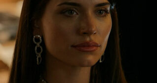 The Cleaning Lady - Satiny.org