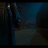 The Witcher Shaerrawedd 20