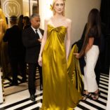 Elizabeth Debicki 2024 Met Gala 19