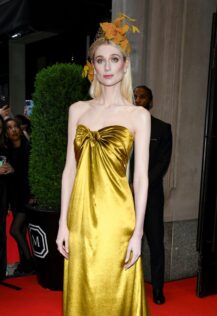 Elizabeth Debicki 2024 Met Gala 2