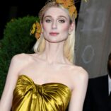 Elizabeth Debicki 2024 Met Gala 38