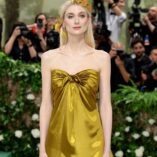 Elizabeth Debicki 2024 Met Gala 40