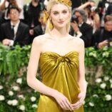 Elizabeth Debicki 2024 Met Gala 41