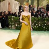 Elizabeth Debicki 2024 Met Gala 53