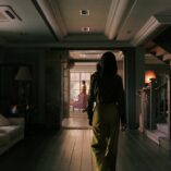 Pluribus Pirate Lady 10