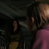 Pluribus Pirate Lady 11