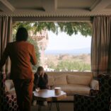 Pluribus Pirate Lady 16