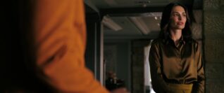 Pluribus Pirate Lady 21