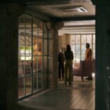 Pluribus Pirate Lady 22