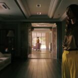 Pluribus Pirate Lady 8