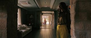 Pluribus Pirate Lady 8