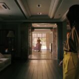 Pluribus Pirate Lady 9