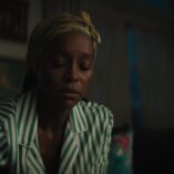 Grosse Pointe Garden Society Bad Seeds 9